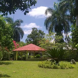 Los Palmares Guest House&eventos San Cristobal